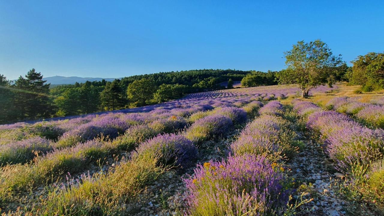 A Ventoux Yourte Monieux Екстериор снимка