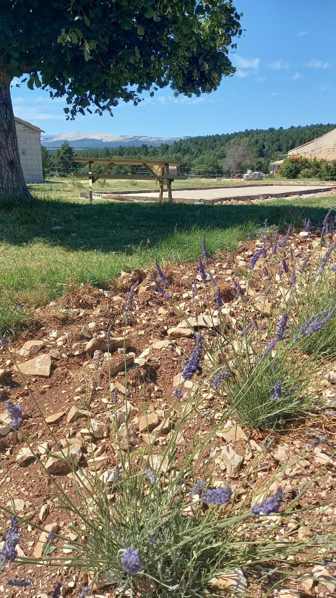 A Ventoux Yourte Monieux Екстериор снимка